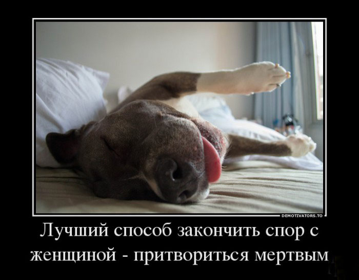 Способ закончить спор