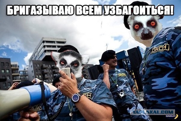 взем узбагоица!!!!!!
