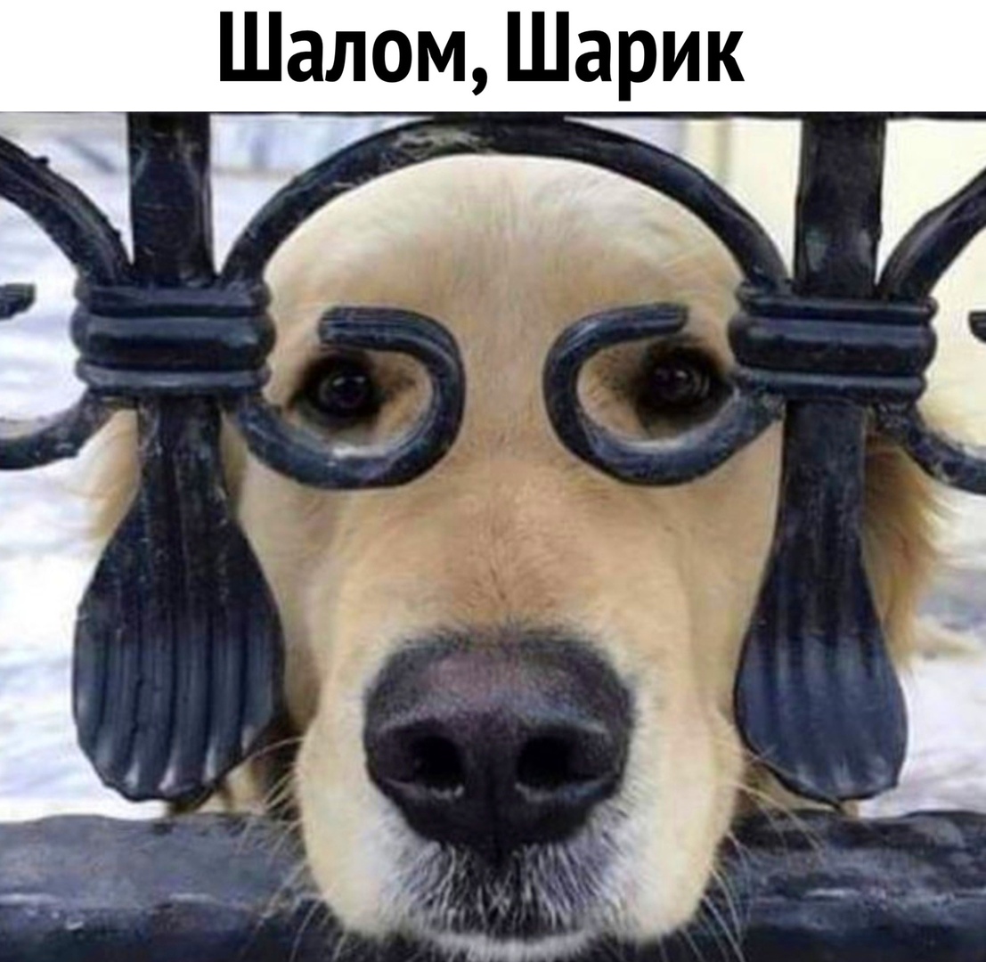 Шалом
