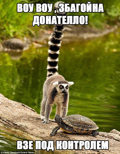 взё под кантролем!!!!!