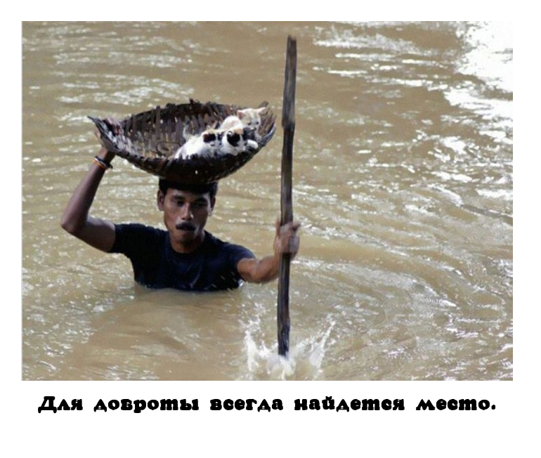 Доброта
