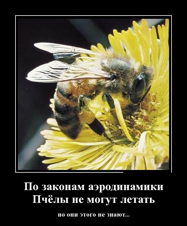 Законы аэродинамики