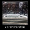 VIP подснежник