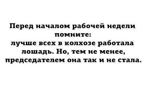 Рабочая лошадь