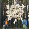 Ангарчане пополнили коллекцию знаменитого музея. Автор фото: Софья Зиннер
