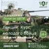 Курс молодого бойца для любителей ВТИ Курс молодого бойца для любителей ВТИ