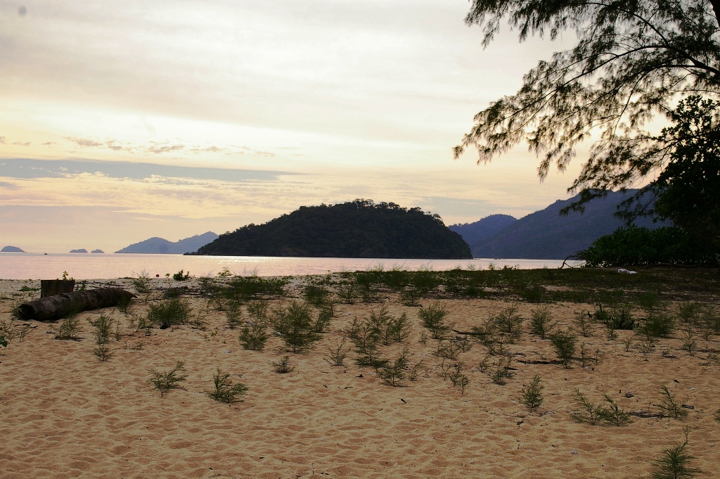 вечереет, и над озером летают утки