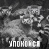 упокойзя))))) упокойзя)))))