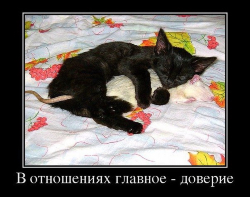 Главное-доверие