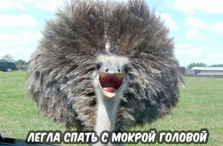 Легла спать с мокрой головой