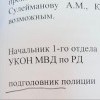 Подголовник