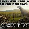 Всю жизнь овца волков боялась Всю жизнь овца волков боялась