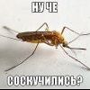 ага,соскучились