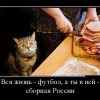 Вся жизнь-футбол