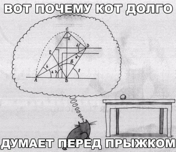 86a335da74c0c638e871895113c prev