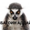 узбагоин аддай!!!! узбагоин аддай!!!!