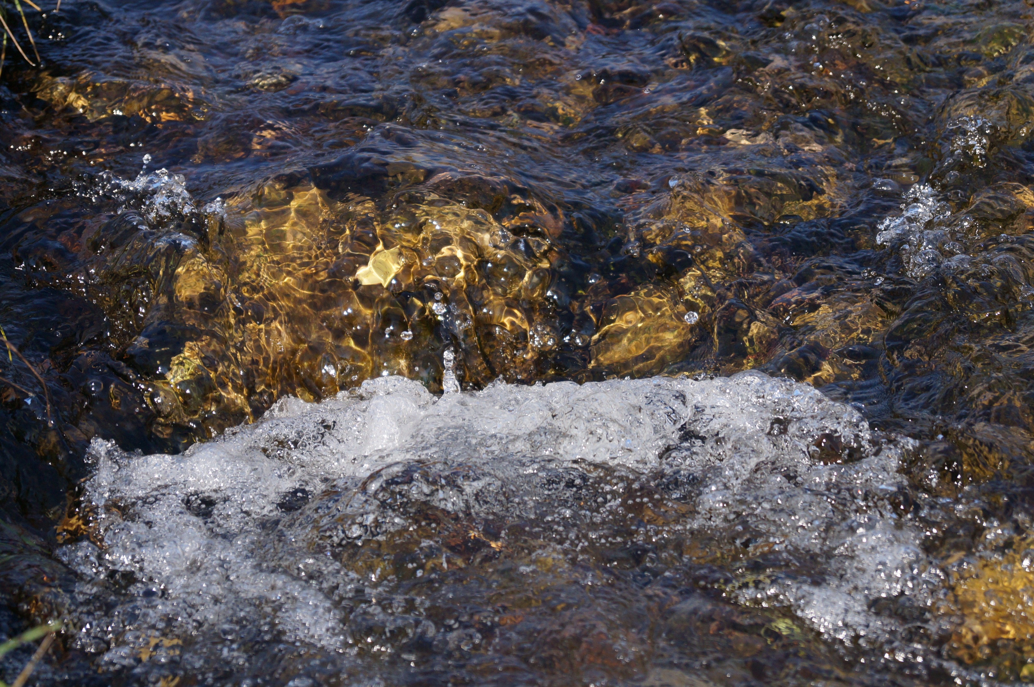 игры китойской воды-3