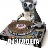 дизгодега))))) дизгодега)))))
