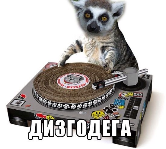 дизгодега)))))