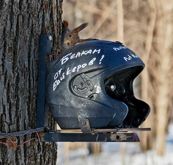 B381e30730c6a9f6638ae815df4 prev