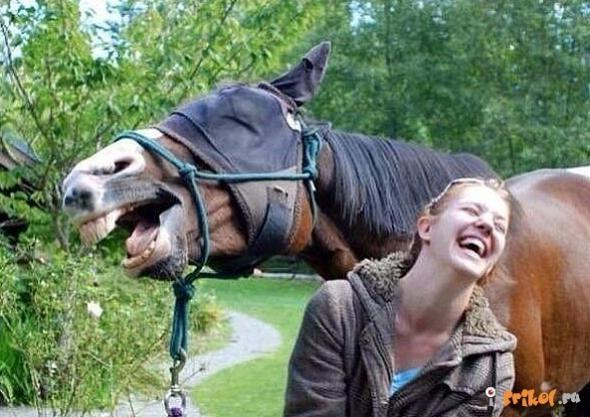 E161bdbdd6fe26ad8f515ea9cea prev