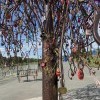 «Свадебное дерево» 