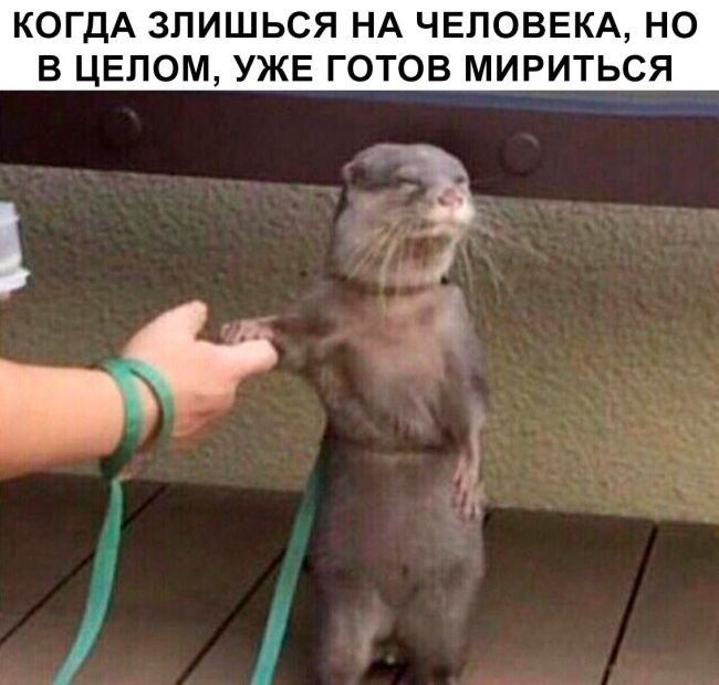Злоба
