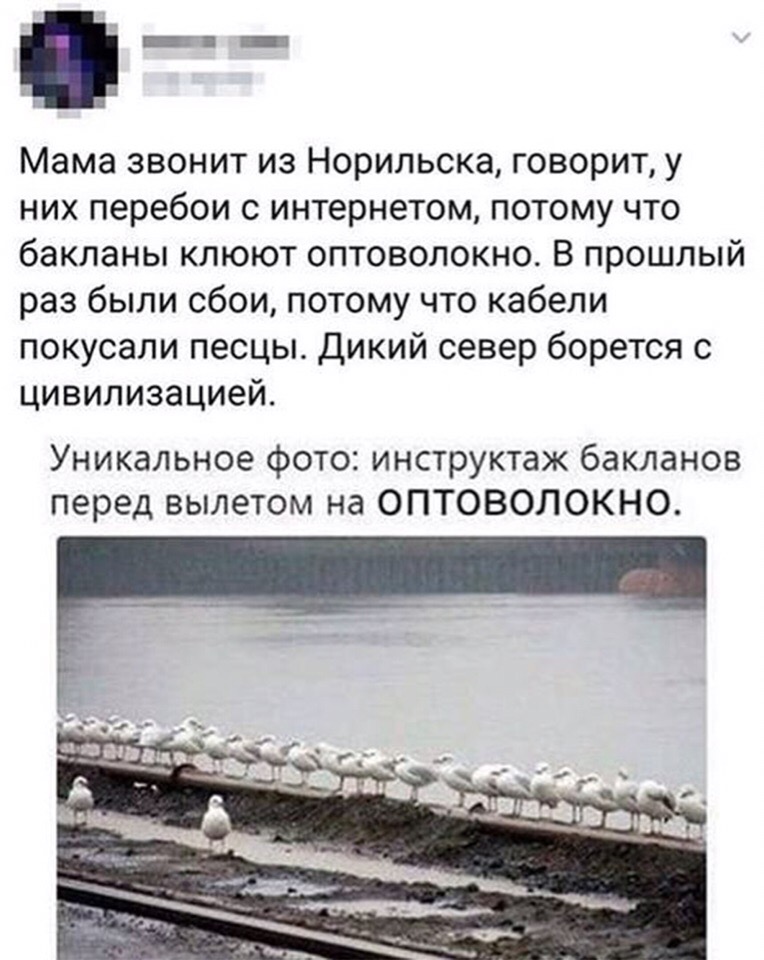 Инструктаж бакланов