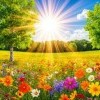 Танцует денёк на цветастой опушке... ПЕСНЯ В ДУШУ
