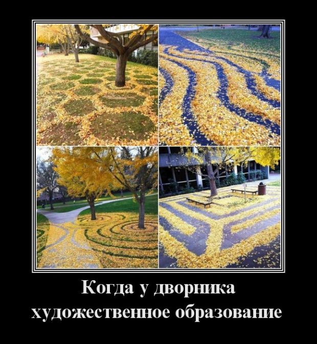 Дворник с образованием