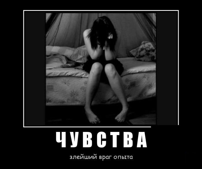 Чувства