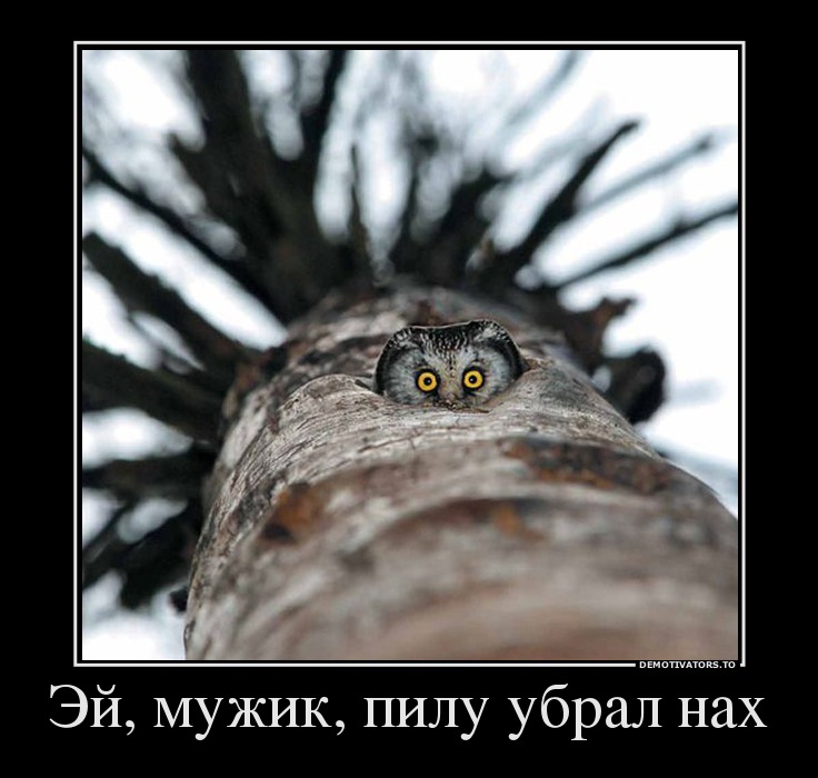 24642260 ej-muzhik-pilu-ubral-nah