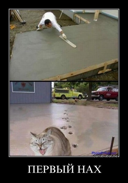 Первопроходец