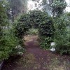 Двор в Щелково Двор в Щелково