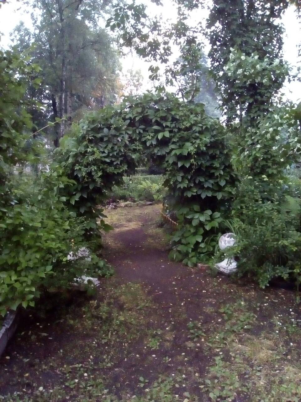 Двор в Щелково 