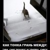 Тонкая грань