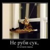 Не руби сук