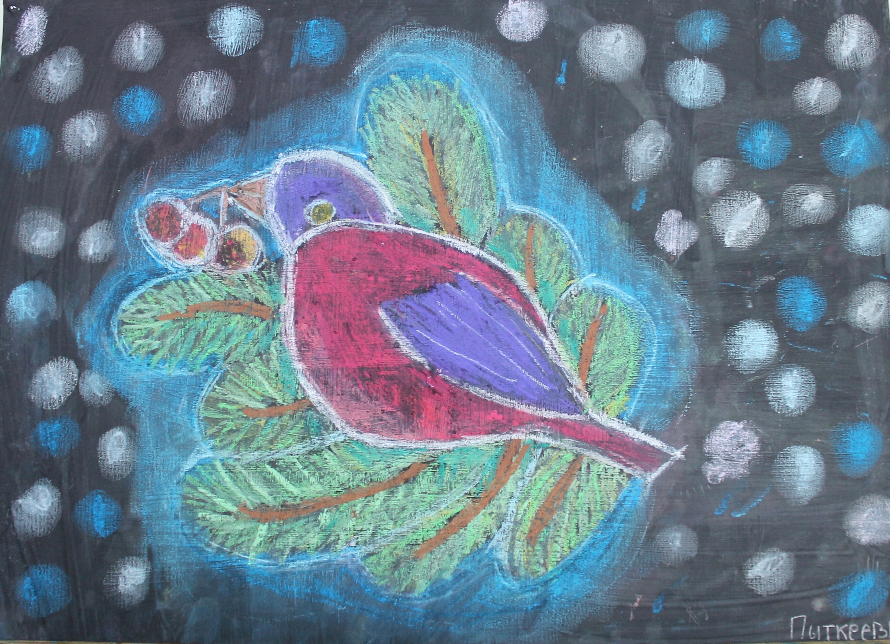 Пыткеева Вероника