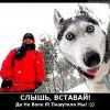 Не волк я..))