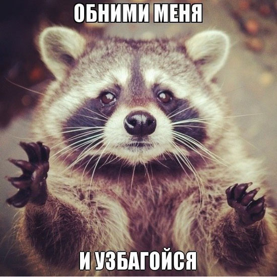 абнимажги-узбагоины))))