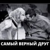 Самый верный друг Самый верный друг