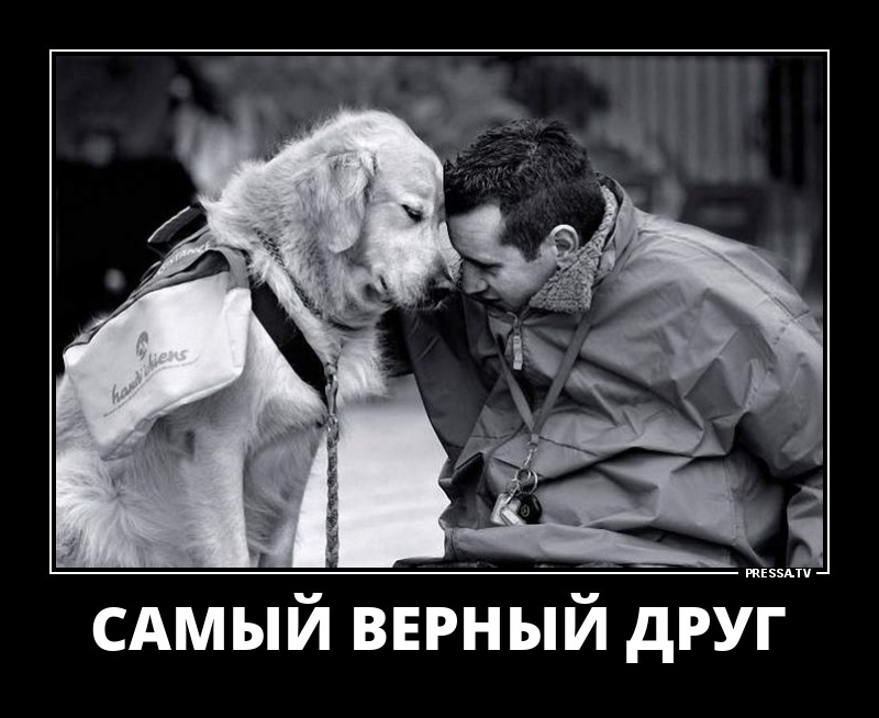 Самый верный друг