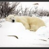 Выходные каждый проводит по-разному Выходные каждый проводит по-разному