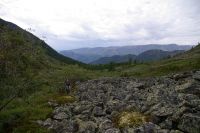 вдоль по речке, по реченьке