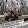 Общественный транспорт