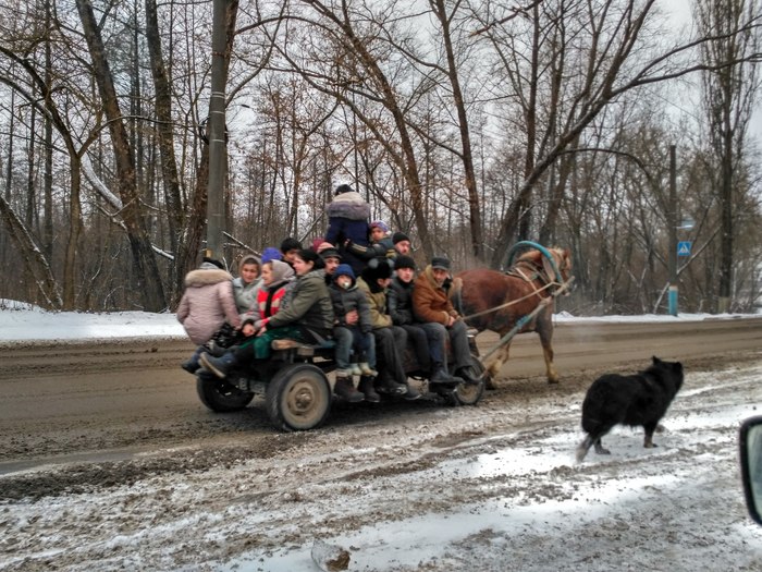 Общественный транспорт