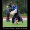 Не всё по плану