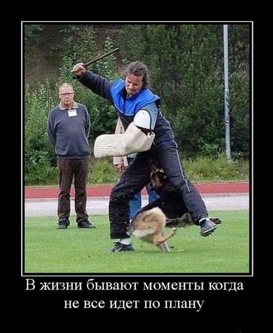 Не всё по плану