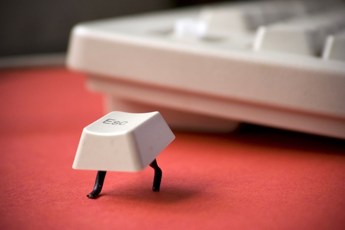 Обращайся с клавиатурой нежнее,а не то убежит!!!