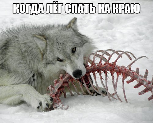 кагда лег с краю))))